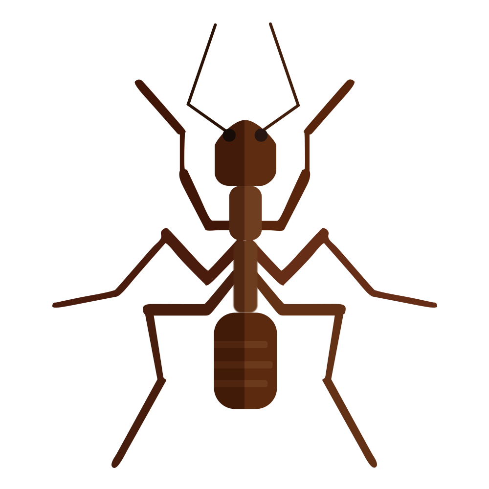關於白蟻防治和控制